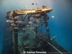 Meeting in the Kittiwake by Romeo Penacino 